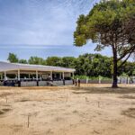 CE60446C-9029-467B-B58E-6914BFCAFE76